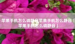 苹果手机怎么调静音苹果手机怎么静音「苹果手机怎么调静音」