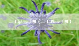 二手iphone手机（二手iPhone手机）