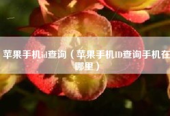 苹果手机id查询（苹果手机ID查询手机在哪里）