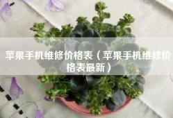 苹果手机维修价格表（苹果手机维修价格表最新）