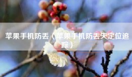 苹果手机防丢（苹果手机防丢失定位追踪）