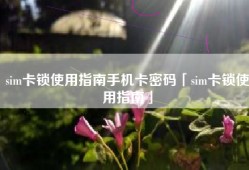 sim卡锁使用指南手机卡密码「sim卡锁使用指南」