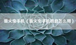 萤火虫手机（萤火虫手机钥匙怎么用）