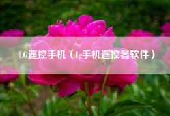 LG遥控手机（lg手机遥控器软件）