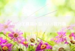 WearOS工具箱PC版 V3.1.13官方版