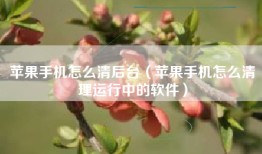 苹果手机怎么清后台（苹果手机怎么清理运行中的软件）