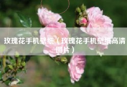 玫瑰花手机壁纸（玫瑰花手机壁纸高清图片）