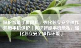 保护智能手机隐私，强化独立安全操作环境手机保护「保护智能手机隐私，强化独立安全操作环境」