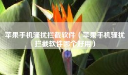 苹果手机骚扰拦截软件（苹果手机骚扰拦截软件哪个好用）