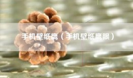 手机壁纸鹰（手机壁纸鹰眼）