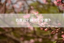 百度云？极光？个推？