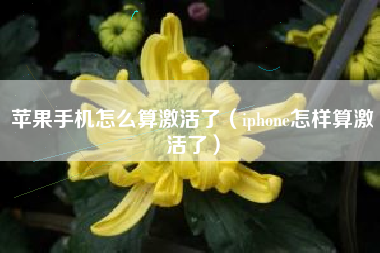 苹果手机怎么算激活了（iphone怎样算激活了）