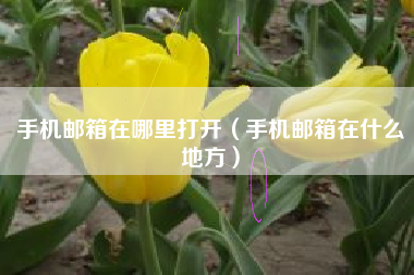 手机邮箱在哪里打开（手机邮箱在什么地方）