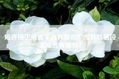 短连接生成器平台有哪些？图片转链接生成器有哪些？