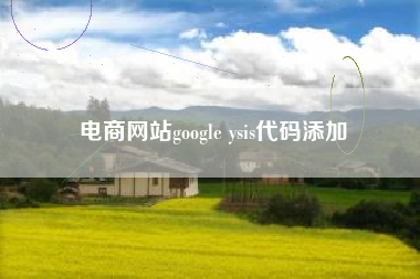 电商网站google ysis代码添加