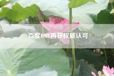 百度BML再获权威认可
